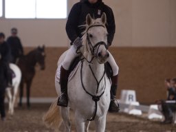 IMG_3147_web